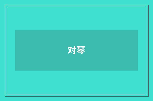 对琴