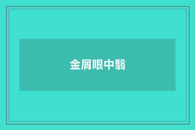 金屑眼中翳