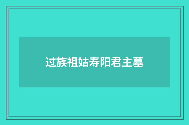 过族祖姑寿阳君主墓