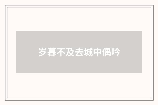 岁暮不及去城中偶吟