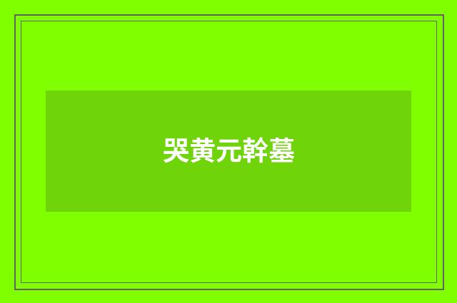 哭黄元幹墓