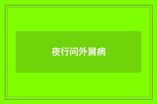 夜行问外舅病