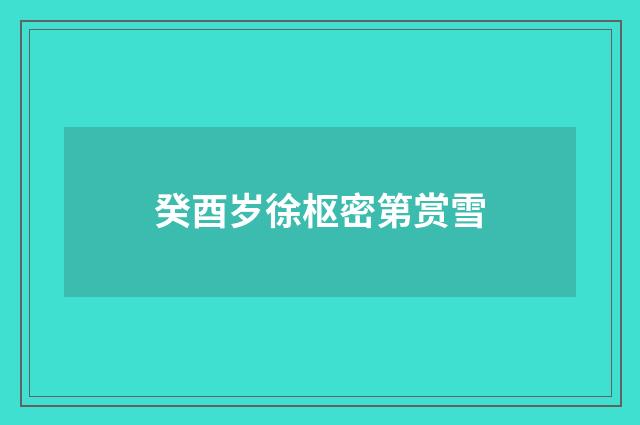 癸酉岁徐枢密第赏雪