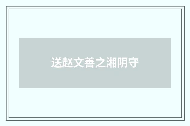 送赵文善之湘阴守