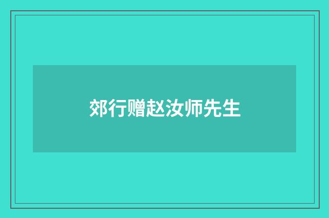 郊行赠赵汝师先生