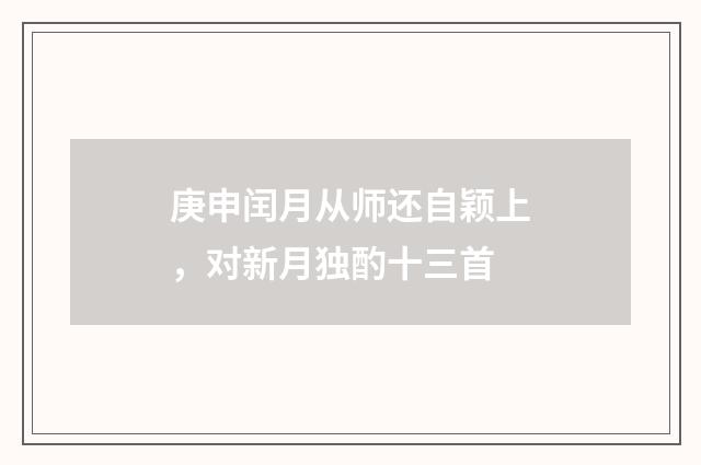 庚申闰月从师还自颖上，对新月独酌十三首
