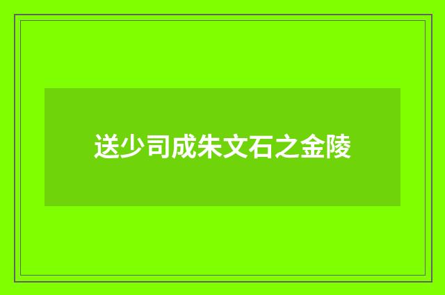 送少司成朱文石之金陵