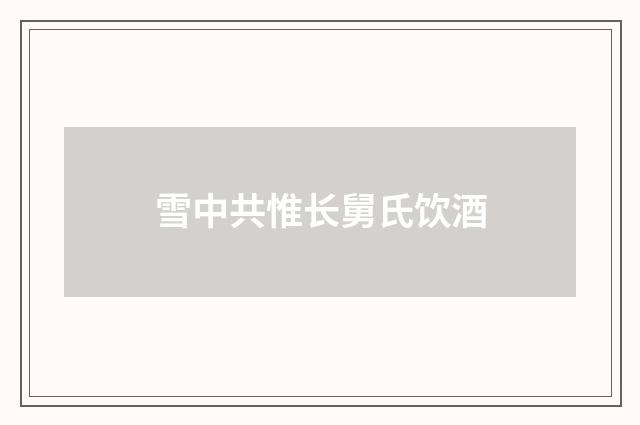 雪中共惟长舅氏饮酒