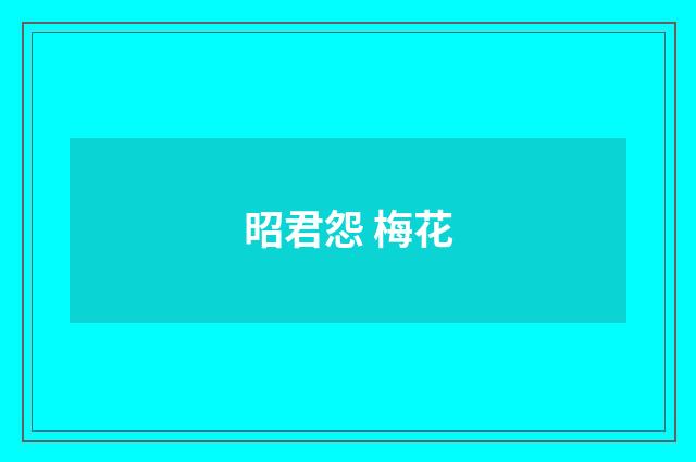 昭君怨 梅花