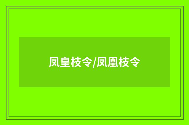 凤皇枝令/凤凰枝令