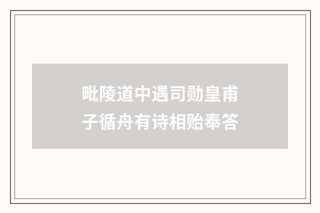 毗陵道中遇司勋皇甫子循舟有诗相贻奉答