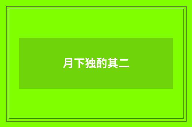 月下独酌其二