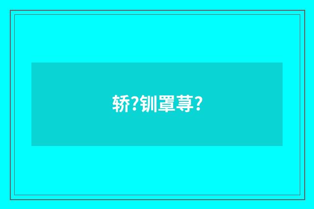 轿?钏罩荨?
