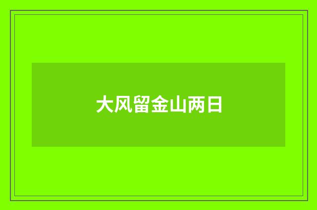 大风留金山两日