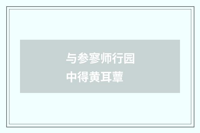 与参寥师行园中得黄耳蕈