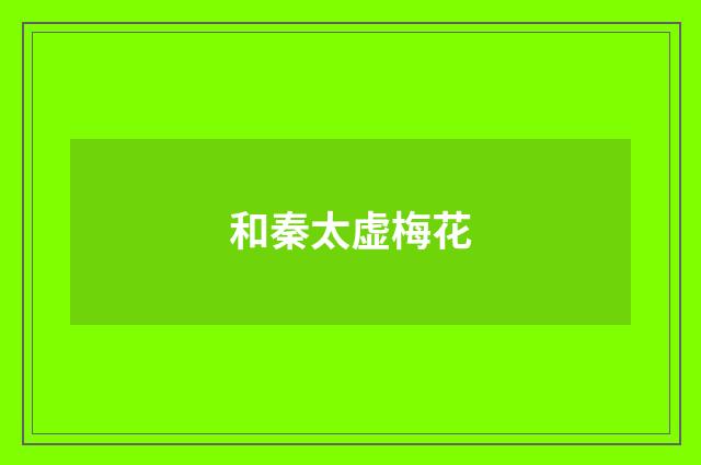 和秦太虚梅花