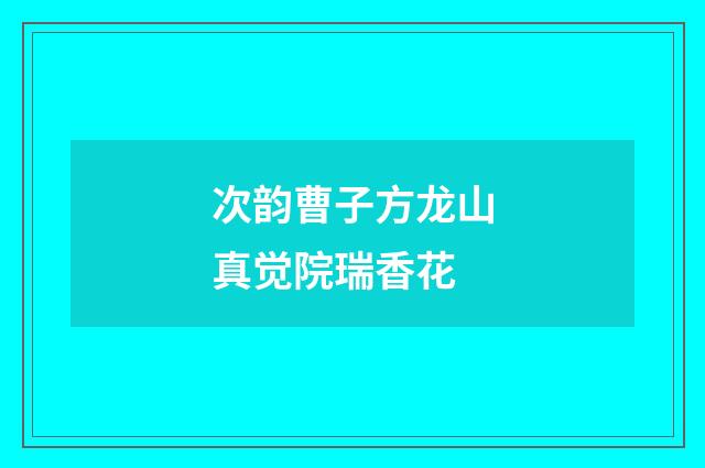次韵曹子方龙山真觉院瑞香花