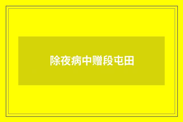 除夜病中赠段屯田