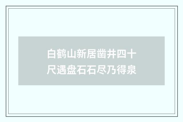 白鹤山新居凿井四十尺遇盘石石尽乃得泉