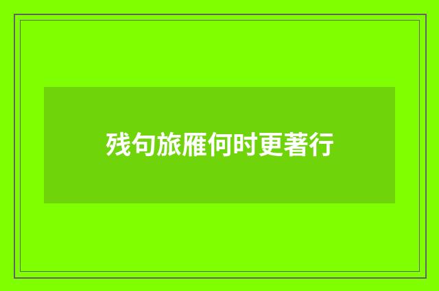 残句旅雁何时更著行
