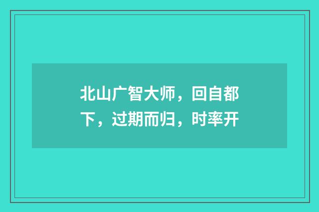 北山广智大师,回自都下,过期而归,时率开