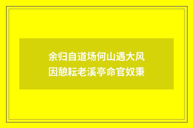 余归自道场何山遇大风因憩耘老溪亭命官奴秉