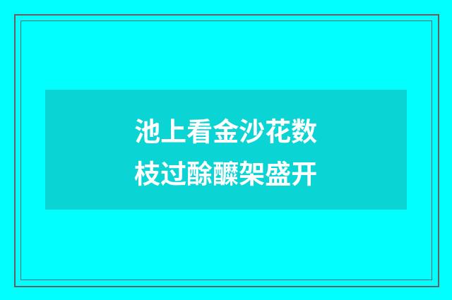 池上看金沙花数枝过酴醾架盛开