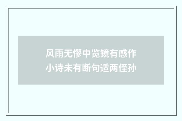 风雨无憀中览镜有感作小诗未有断句适两侄孙