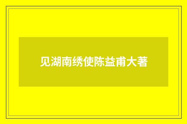 见湖南绣使陈益甫大著
