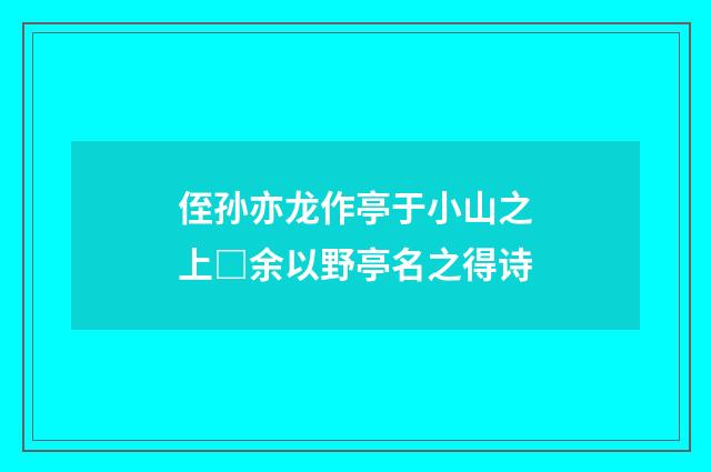 侄孙亦龙作亭于小山之上□余以野亭名之得诗