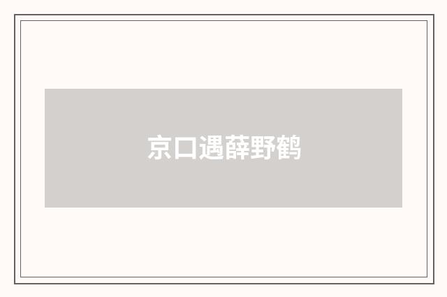 京口遇薛野鹤