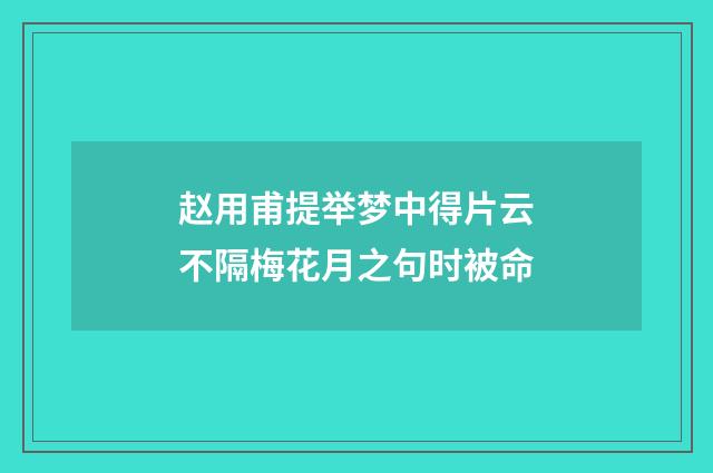 赵用甫提举梦中得片云不隔梅花月之句时被命