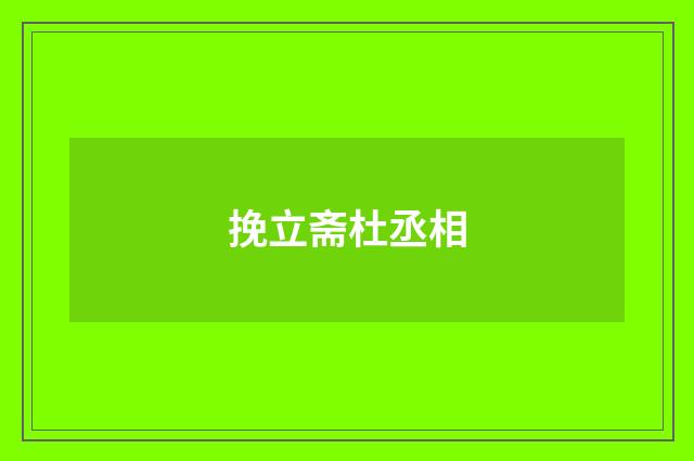 挽立斋杜丞相