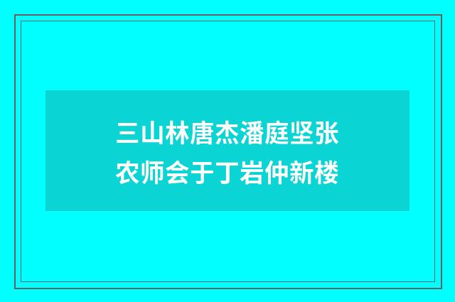 三山林唐杰潘庭坚张农师会于丁岩仲新楼