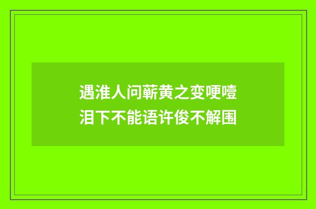 遇淮人问蕲黄之变哽噎泪下不能语许俊不解围