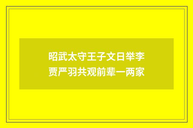 昭武太守王子文日举李贾严羽共观前辈一两家
