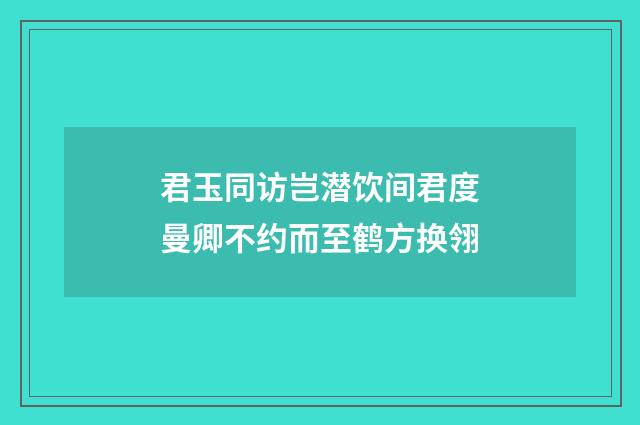 君玉同访岂潜饮间君度曼卿不约而至鹤方换翎