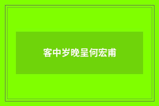 客中岁晚呈何宏甫