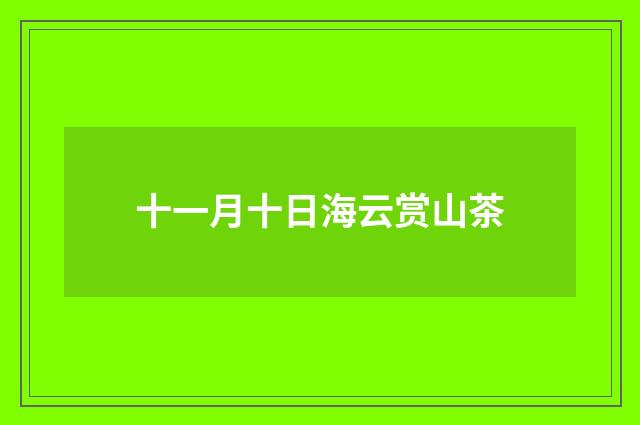 十一月十日海云赏山茶