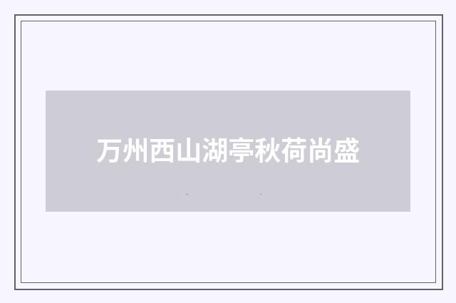 万州西山湖亭秋荷尚盛