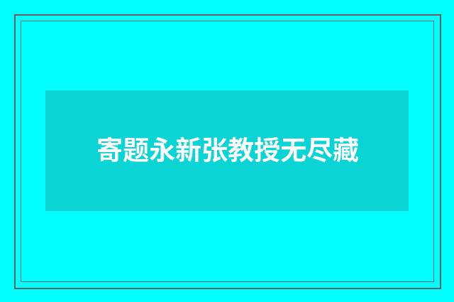 寄题永新张教授无尽藏