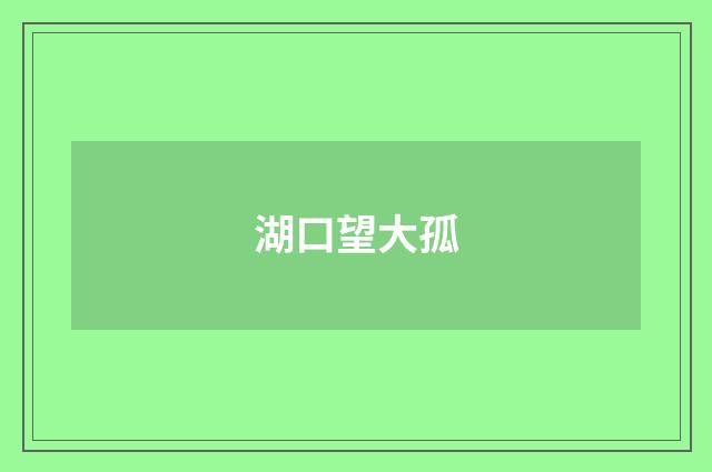 湖口望大孤
