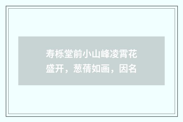 寿栎堂前小山峰凌霄花盛开，葱蒨如画，因名