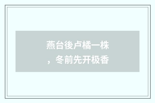 燕台後卢橘一株，冬前先开极香
