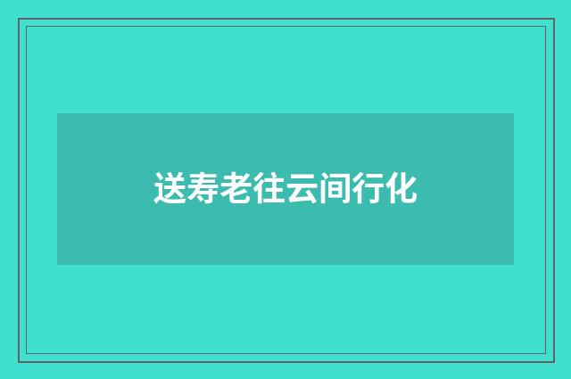 送寿老往云间行化