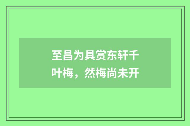 至昌为具赏东轩千叶梅,然梅尚未开