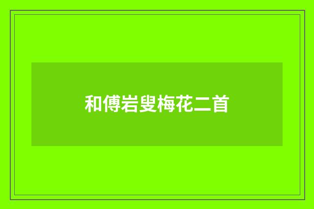 和傅岩叟梅花二首