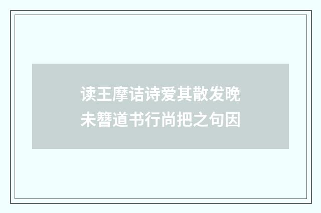读王摩诘诗爱其散发晚未簪道书行尚把之句因