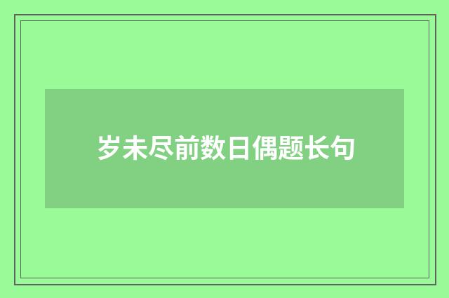 岁未尽前数日偶题长句