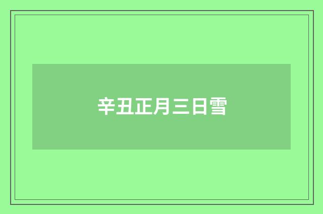 辛丑正月三日雪